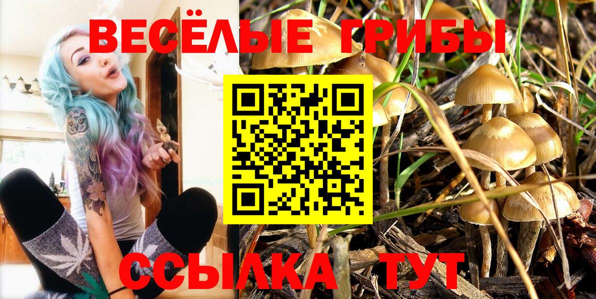 Псилоцибиновые грибы мухоморы Кохма