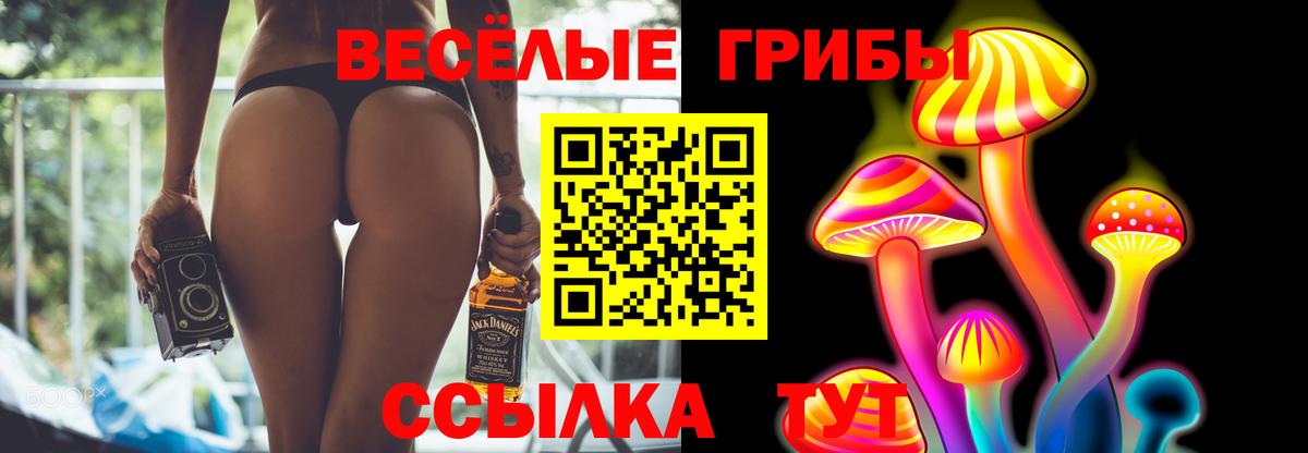 Галлюциногенные грибы Cubensis  Вход с VPN  Галлюциногенные грибы мицелий  Кохма 